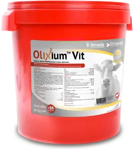 olixium vit bucket