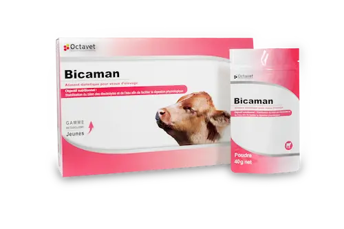 Bicaman packaging