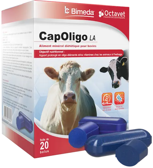 Cattle Bolus Coseicure