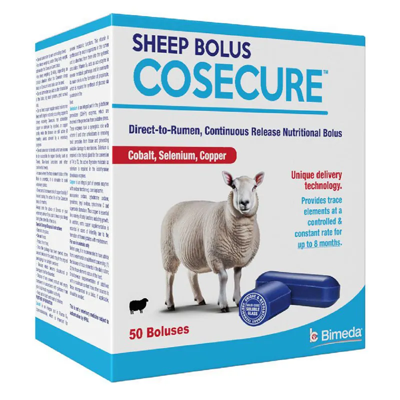 sq 4 cosecure sheep
