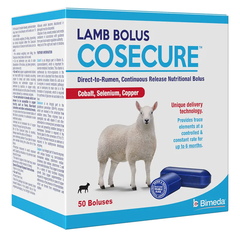 sq 6 Cosecure Lamb light